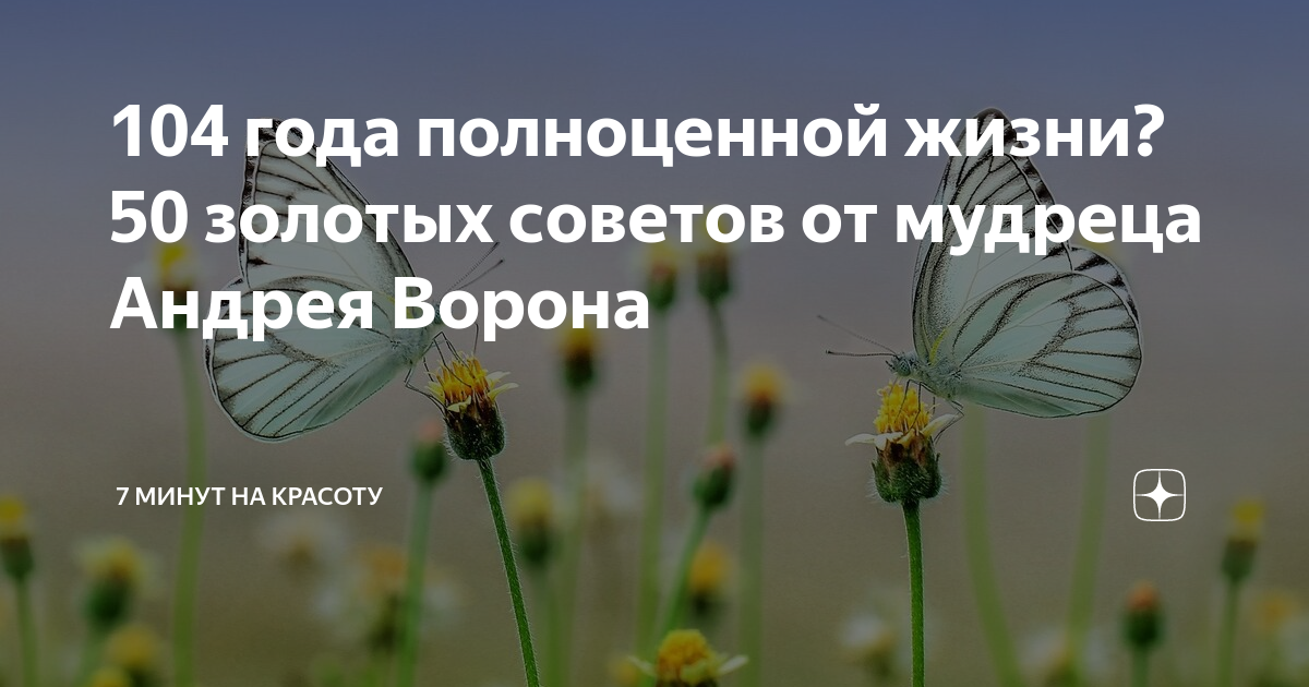 104 года полноценной жизни? 50 золотых советов от мудреца Андрея Ворона ...