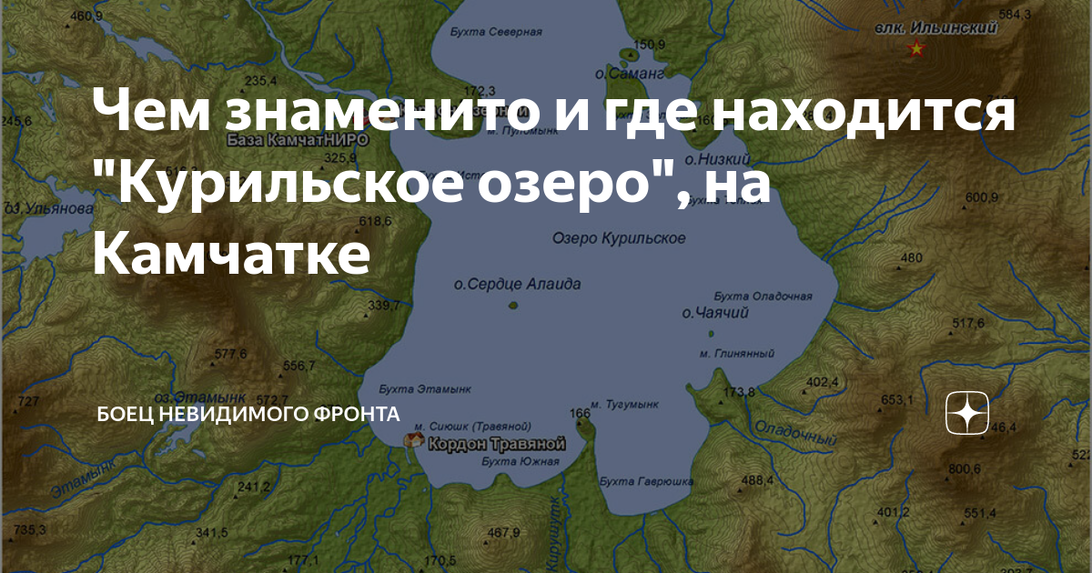 Курильское озеро - царство бурых медведей, нерки и тихоокеанской чайки