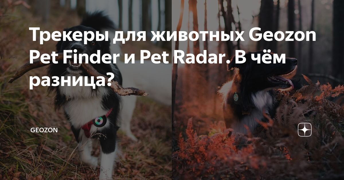 Трекеры для животных Geozon Pet Finder и Pet Radar. В чём разница ...