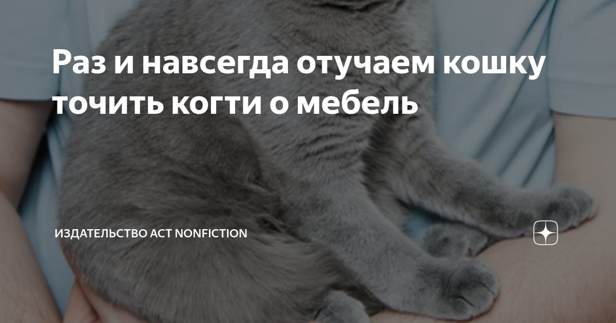 Раз и навсегда отучаем кошку точить когти о мебель | Книги АСТ нонфикшн ...