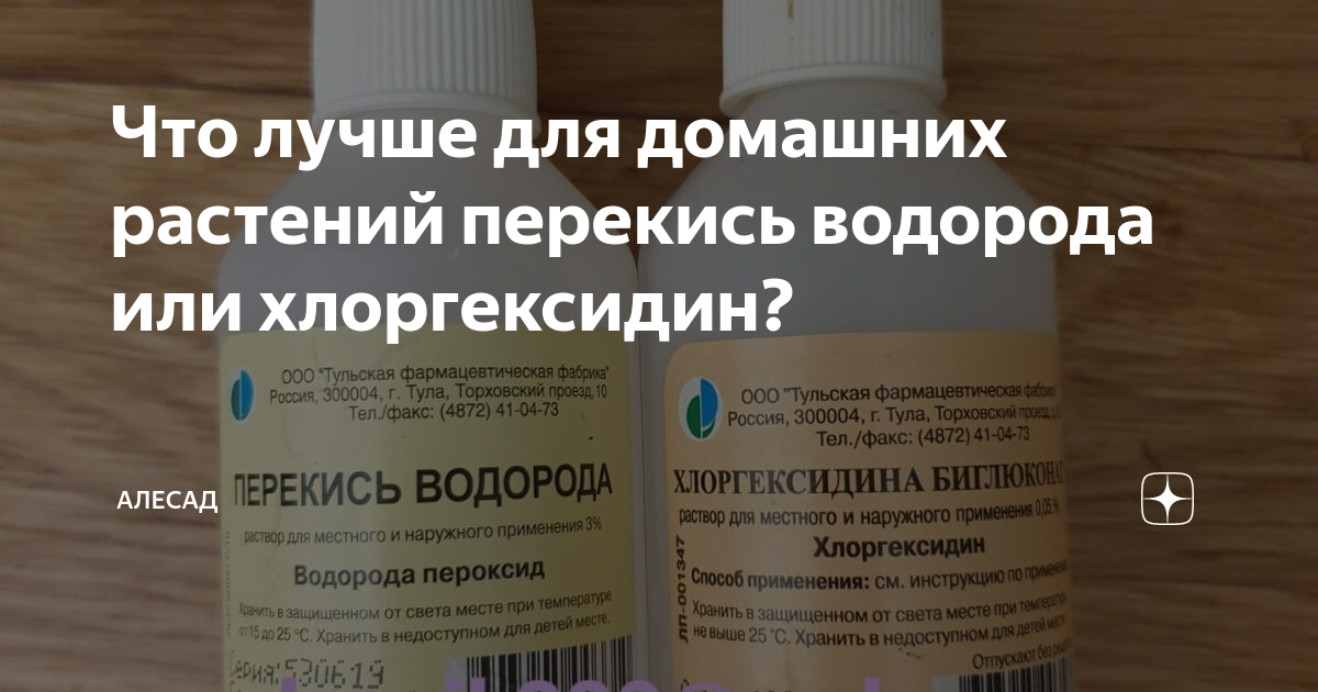 Перекись водорода или хлоргексидин. Хлоргексидин это перекись. Хлоргексидин или перекись водорода в чем разница. Хлоргексидин и перекись разница.