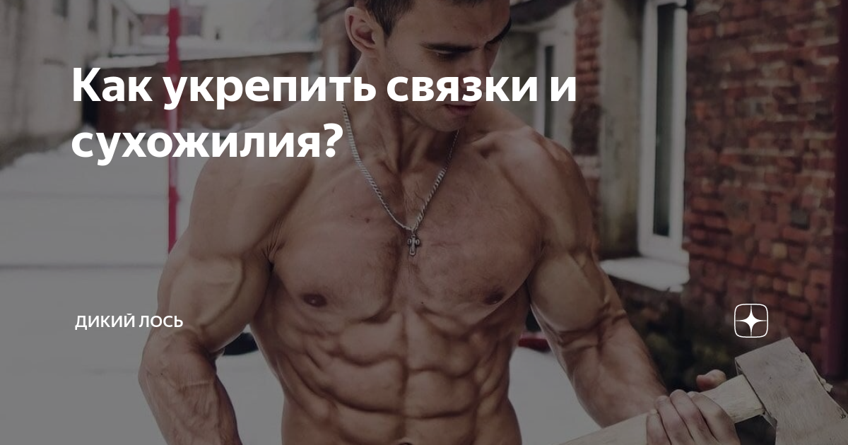 как укрепить сухожилия и связки