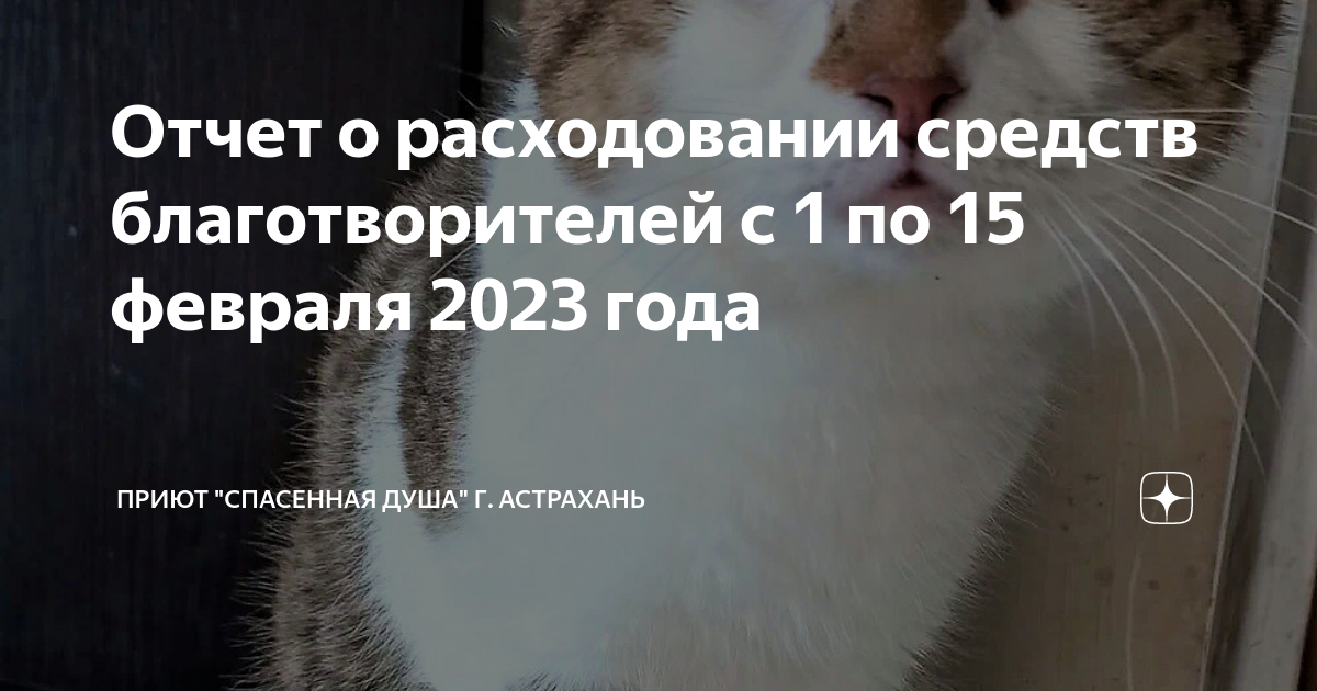 спасенная душа астрахань дзен