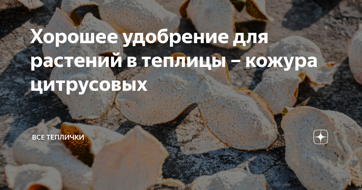 Хорошее удобрение для растений в теплицы – кожура цитрусовых | Все ...