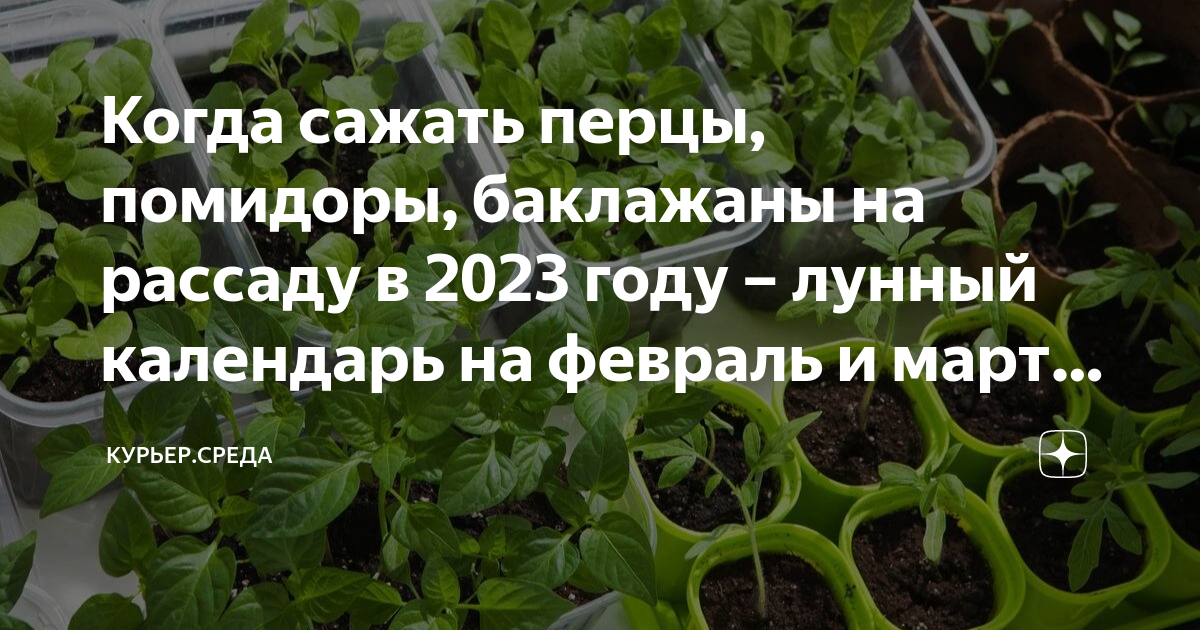 Лунный календарь 2023 кубань