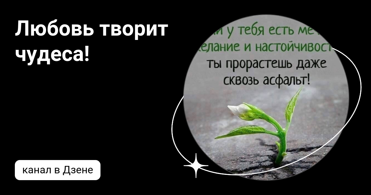 Не бросайте своих: любовь творит чудеса и спасает от разрыва