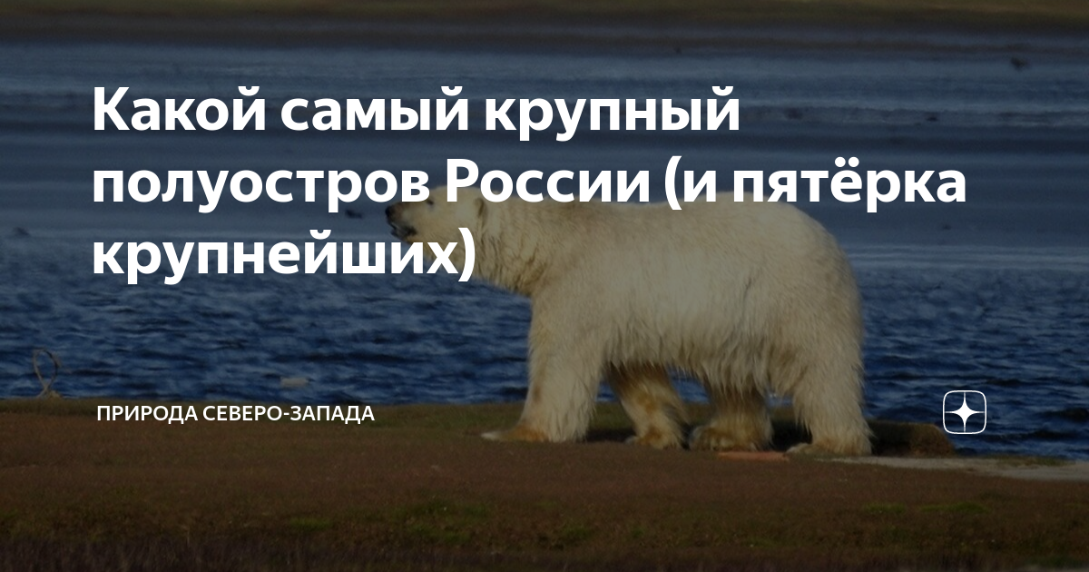 полуостров с жалобой на размер 4 буквы