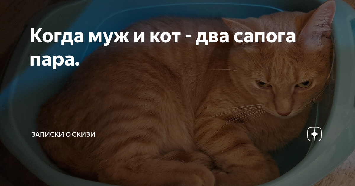 кот в сапогах на ком женился младший сын