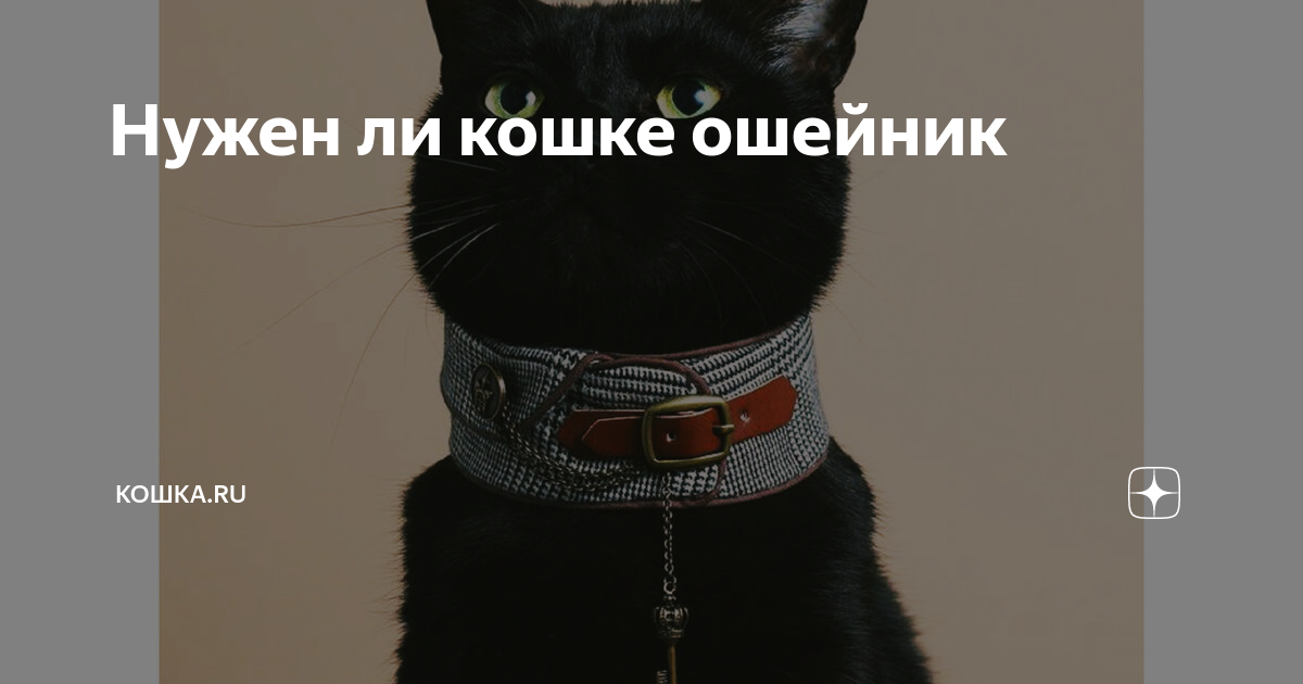  Mailru         quotquot          2     