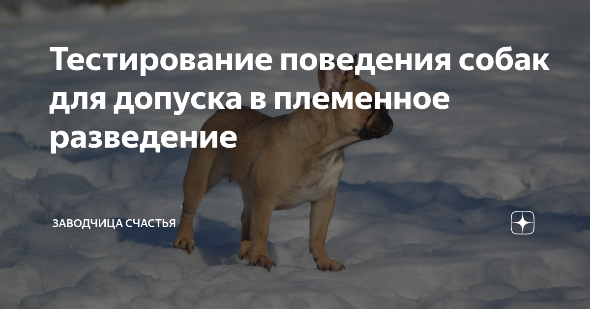 Тесты поведение животных. Тесты поведение животных