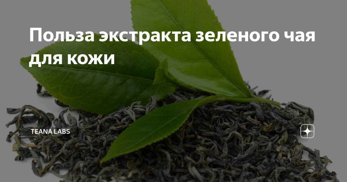 Польза экстракта зеленого чая для кожи | Teana Labs | Дзен