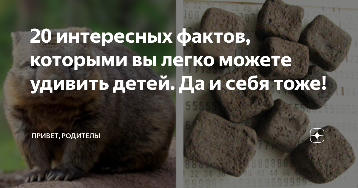 20 интересных фактов, которыми вы легко можете удивить детей. Да и себя ...