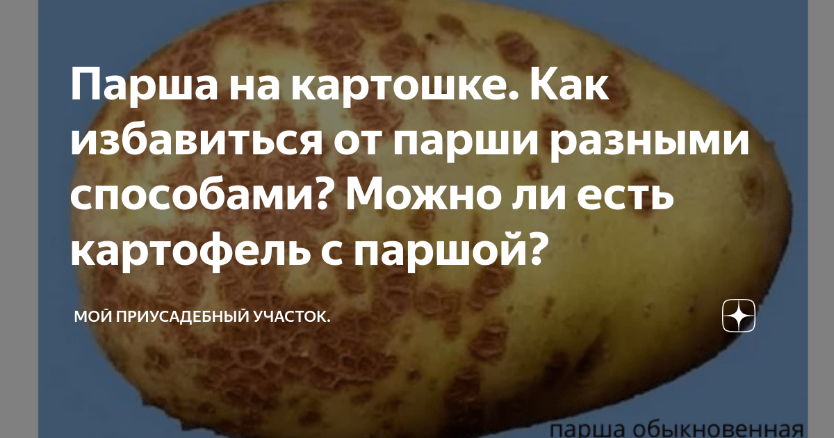 Парша на картошке. Как избавиться от парши разными способами? Можно ли ...