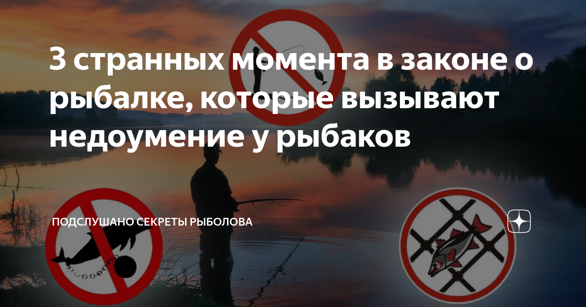 3 странных момента в законе о рыбалке, которые вызывают недоумение у ...