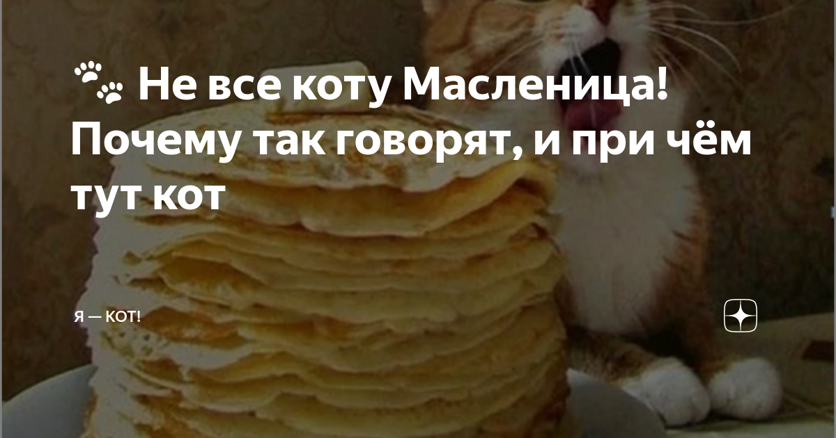 Выражение не все коту масленица