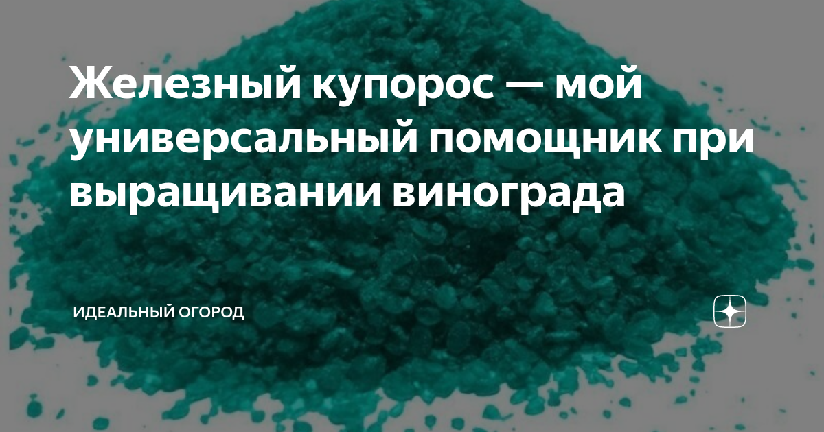 Железный купорос — мой универсальный помощник при выращивании винограда ...