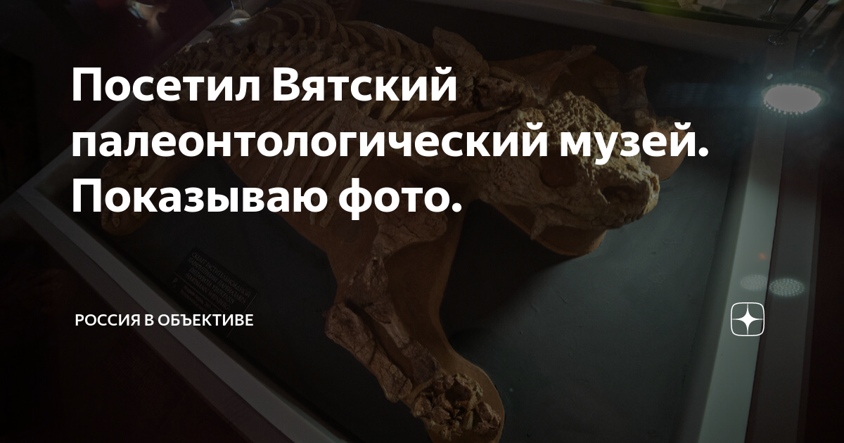 вятский палеонтологический музей цена