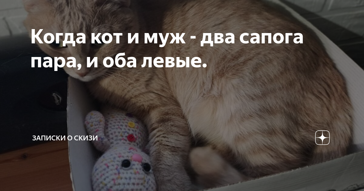 вот и всё досвидос пару лет коту под хвост