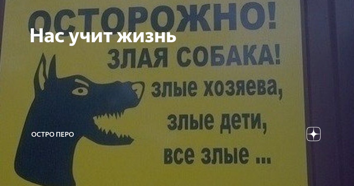 Омар Хайям — Нас учит жизнь пройти дорогу чести ~ Стих на skazki-rus.ru