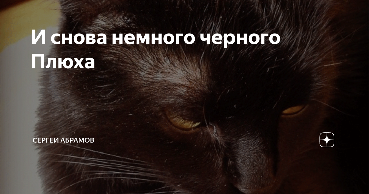 давай заново seemee, bushido zho. я скоро уеду. начать все заново. каждое утро это начать жизнь заново. станция заново липецкая обл.