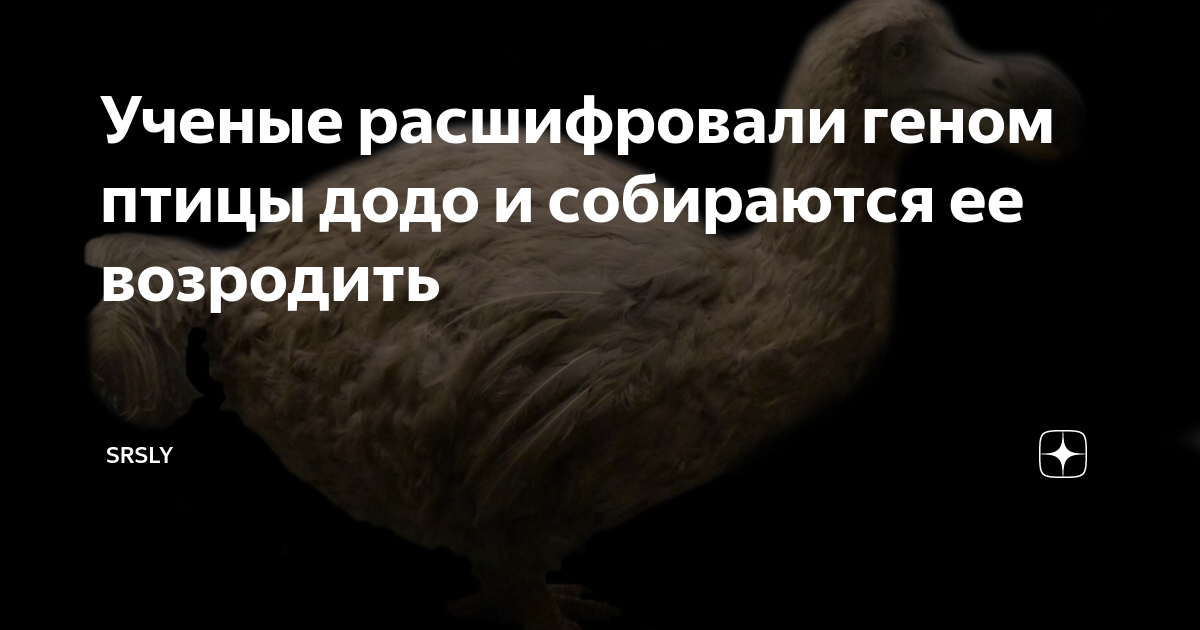 Короткая встреча с редкой птицей геншин задание. Птицы Геншин. Птицы Геншин архив. Существа фауна птицы Геншин. Гены у птиц.
