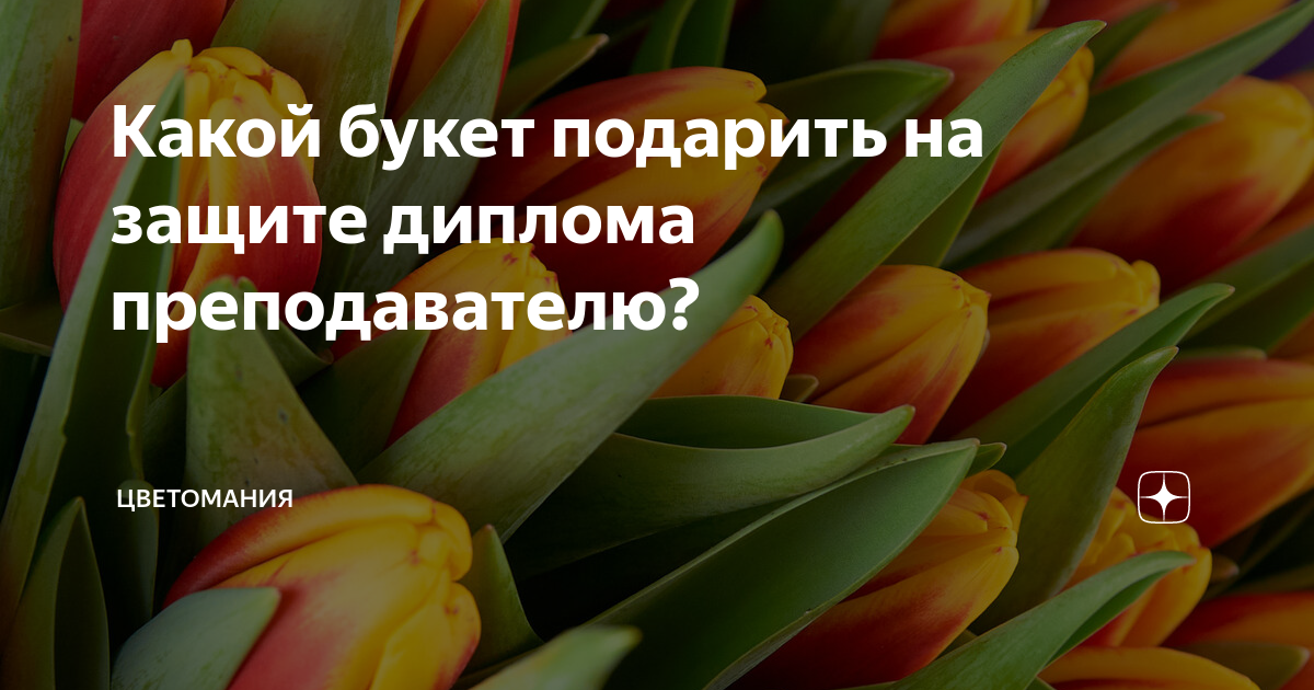 Что подарить преподавателю на защиту диплома в Московском городском педагогическом университете?