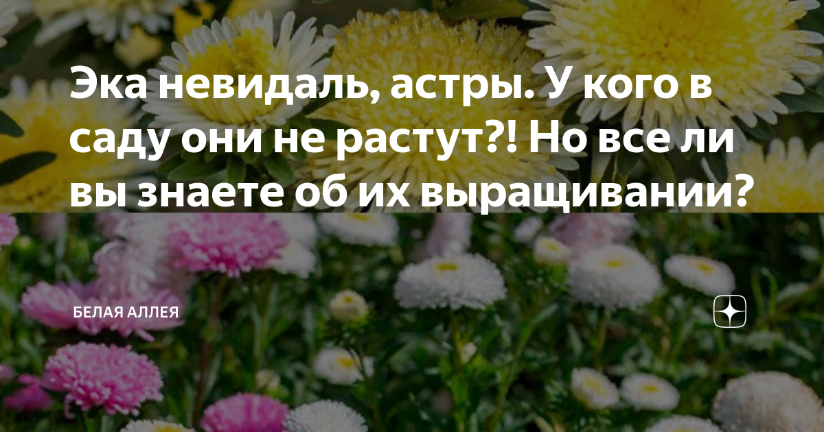 Эка невидаль. Эка невидаль
