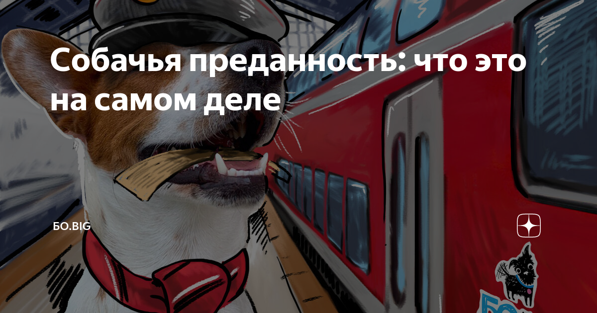 Собачья преданность: что это на самом деле | БО.big | Дзен