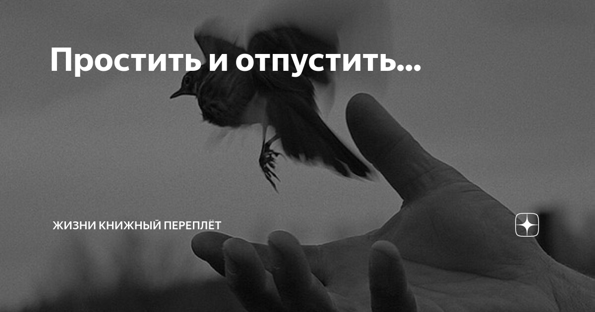 книжный переплет дзен читать рассказы