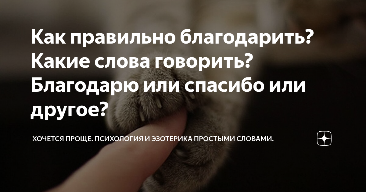 Просить или благодарить. Просить или благодарить. Просить или благодарить. Прощение и благодарю масленица. Прощенное воскресенье стихи.