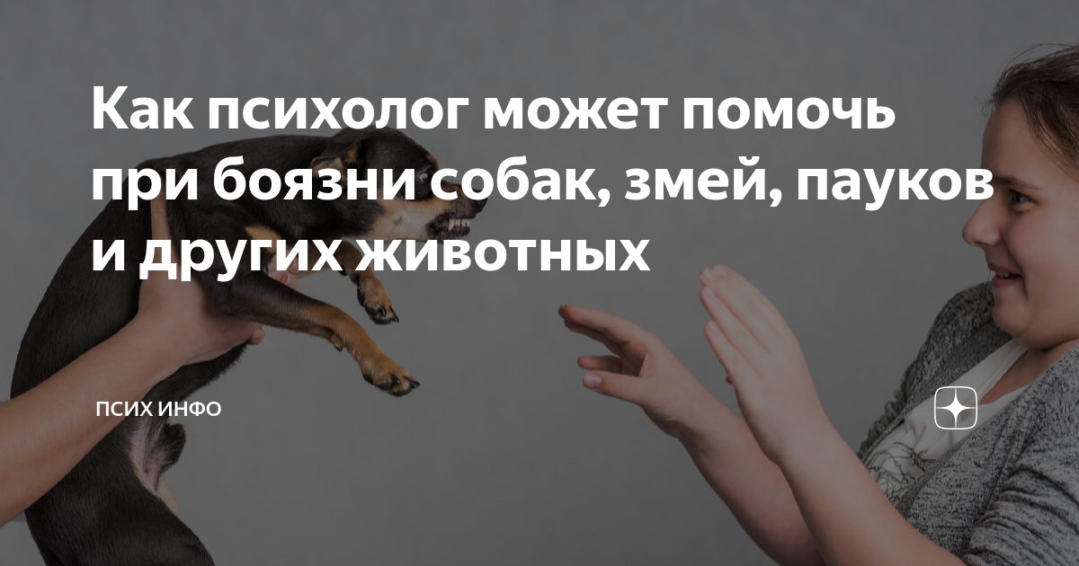 Бешенство листовка. Медицинское название боязни животных. Медицинское название боязни животных. Психологические страхи список. Изолированная фобия.
