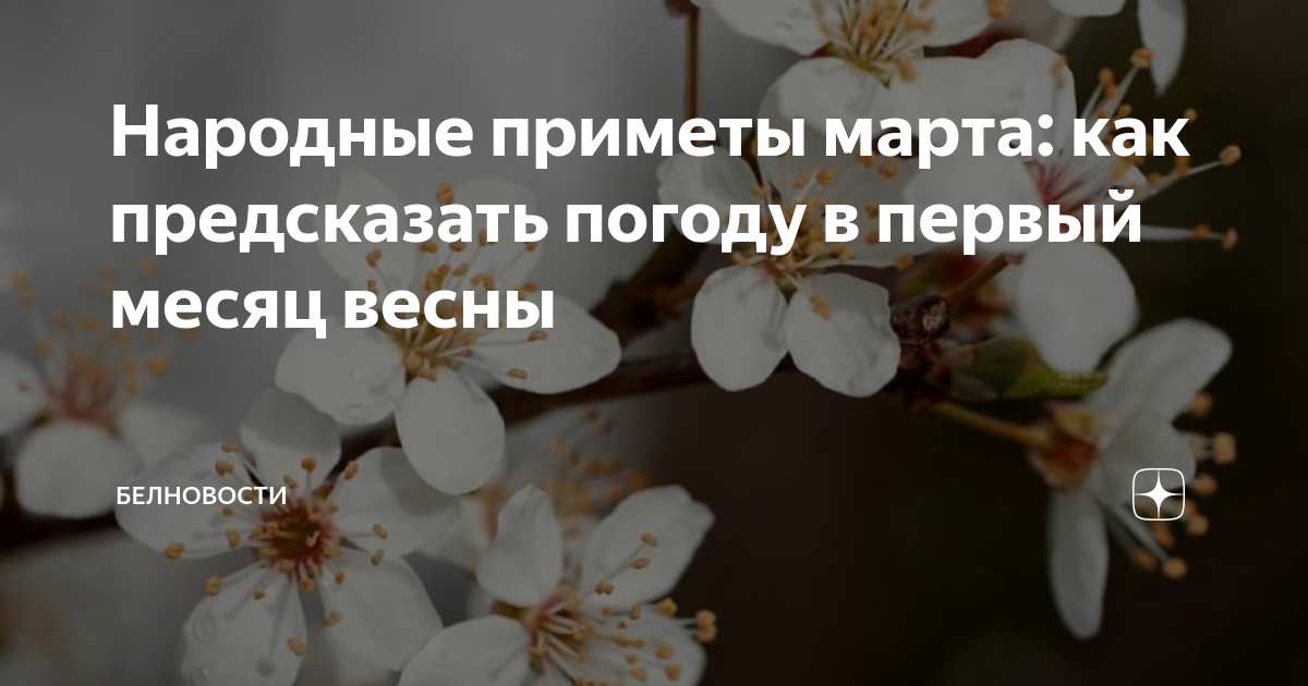 Народные приметы марта: как предсказать погоду в первый месяц весны ...