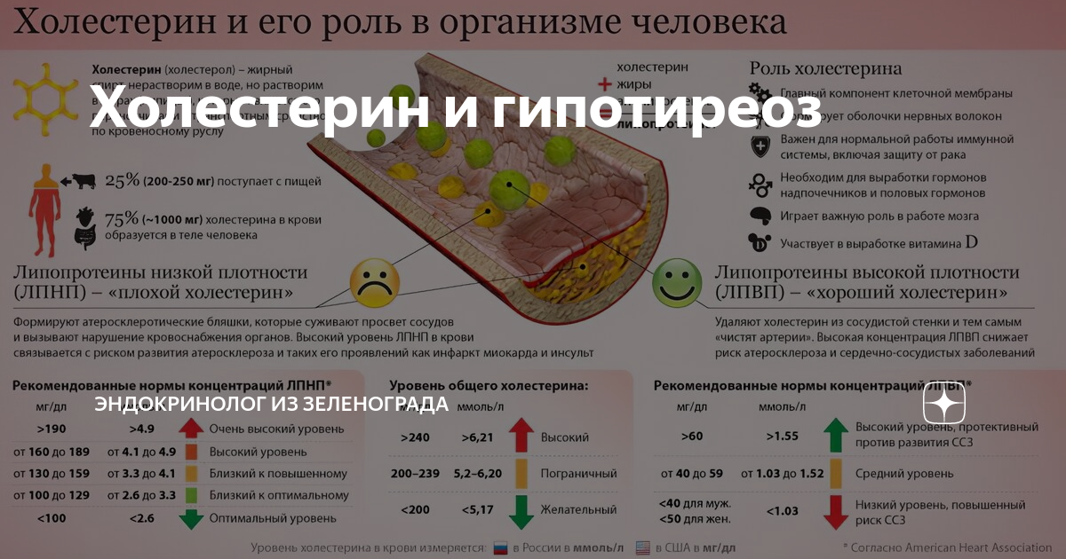 Повышен холестерин симптомы причины лечение