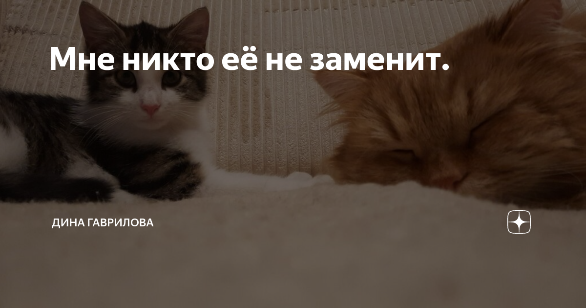 Мне никто её не заменит. | Дина Гаврилова | Дзен