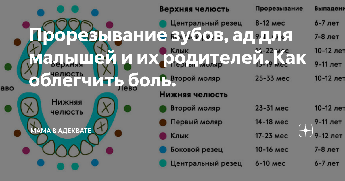 Как облегчить боль при прорезывании. Прорезывание коренных зубов у детей. Жевательные зубы у детей прорезывание. Задержка прорезывания зубов. Схема прорезывания зубов у детей от 4 лет