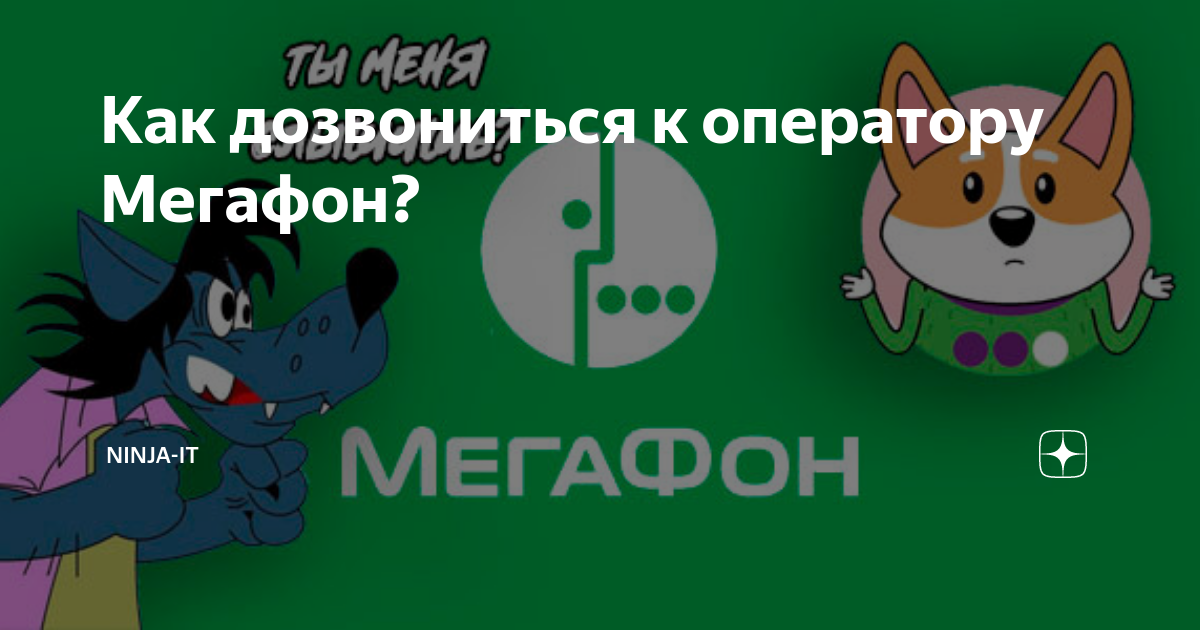 МегаФон не звонит на МегаФон