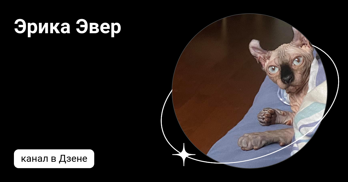 Котик медитация. Кот муслим. Кот в саду камней. Котик в позе лотоса. Кот в медитации.