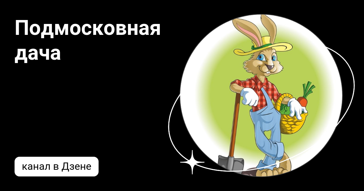 Подмосковная дача | Дзен