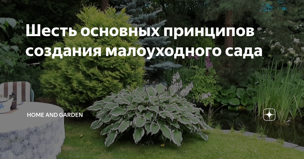 6 главных правил малоуходного сада от ландшафтного дизайнера: секреты комфорта и красоты