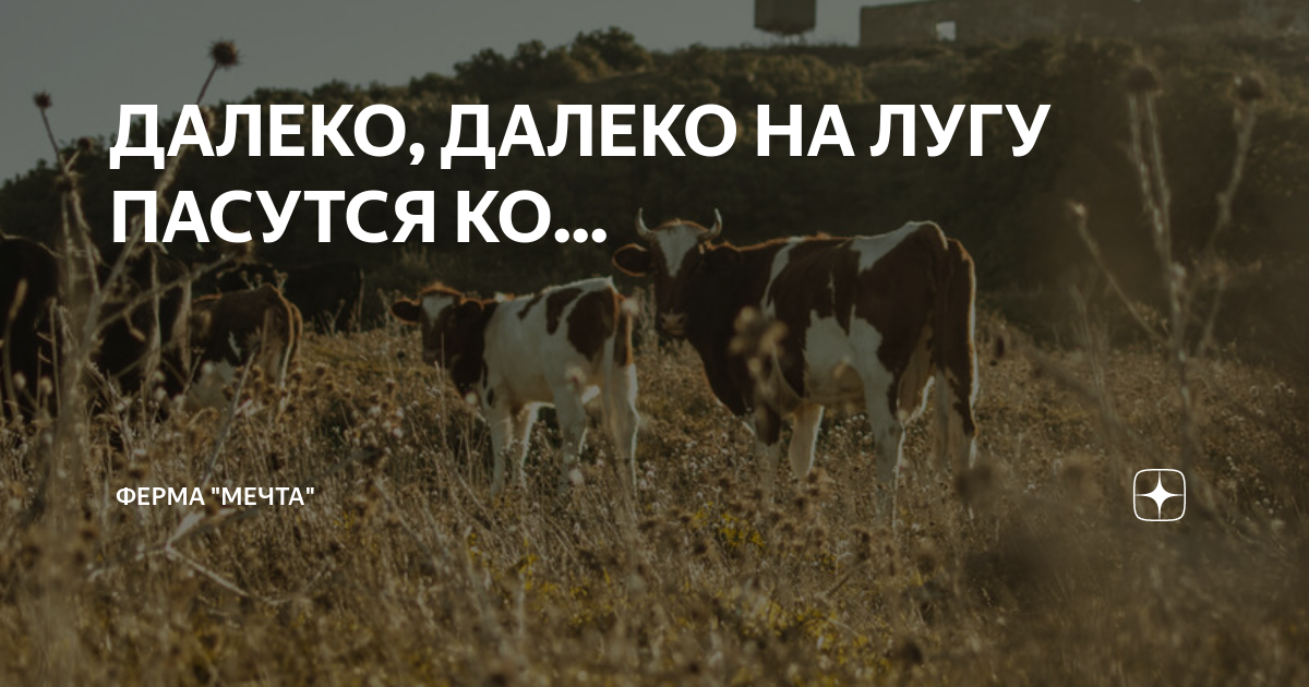 На лугу пасутся ко. Далеко далеко далеко пасутся. На лугу на лугу на лугу пасутся. Кто пасется на лугу.