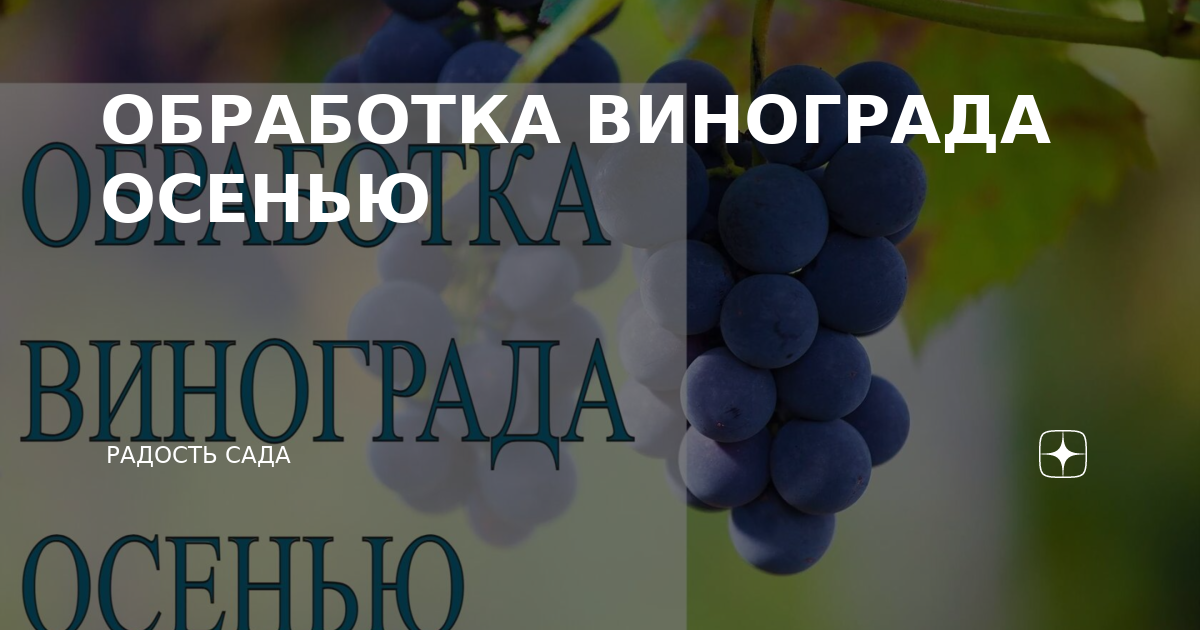 Обработка винограда железным купоросом и мочевиной осенью