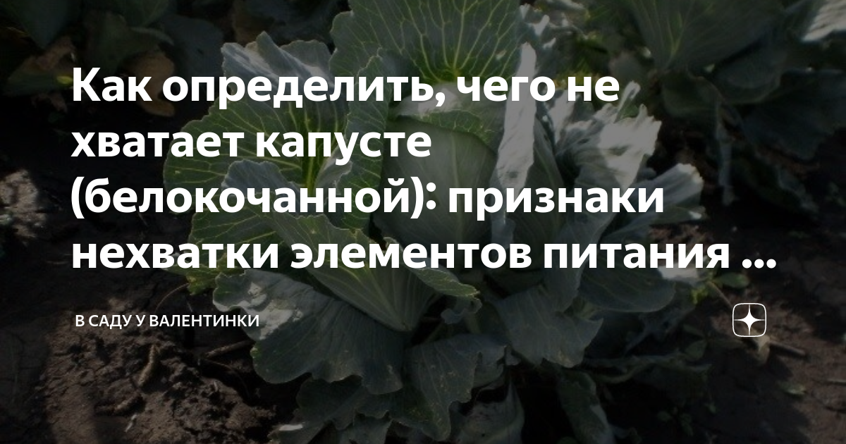 Признаки нехватки топлива инжектор