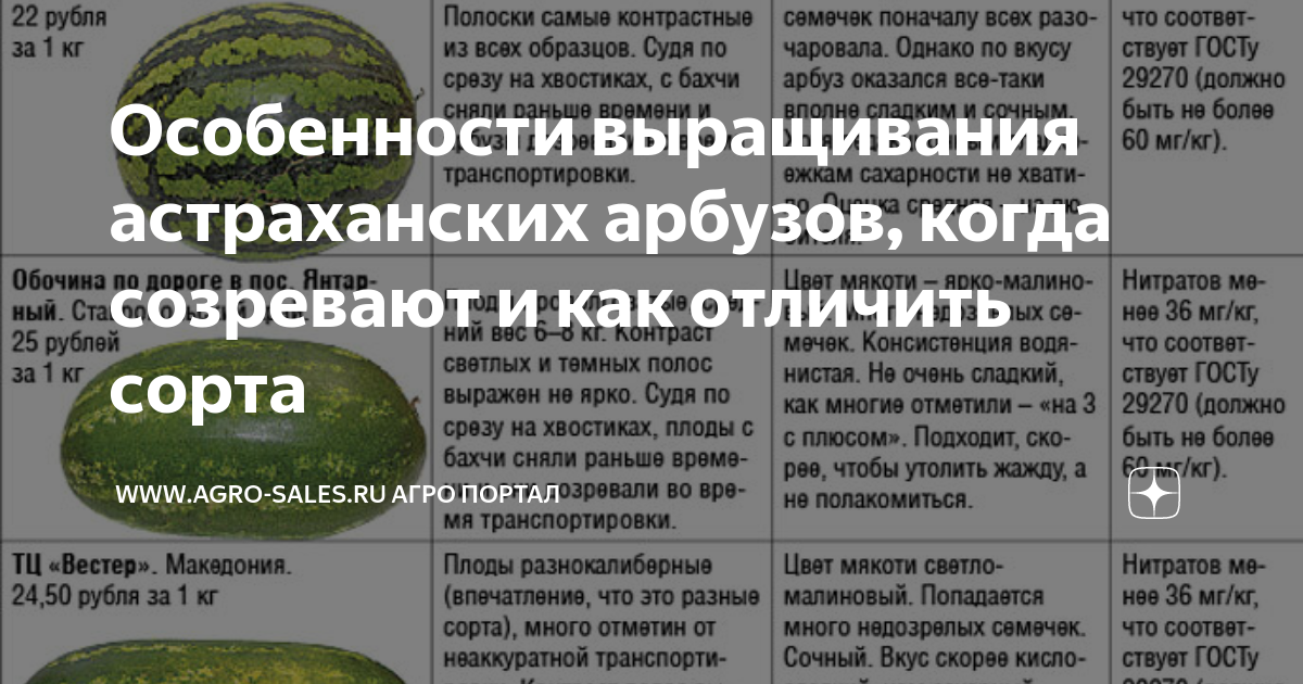 Когда созревают арбузы в дагестане. Астраханские арбузы как отличить. Астраханский Арбуз когда созревает. Как отличить Астраханский Арбуз от других. Когда созревают арбузы в Астрахани.