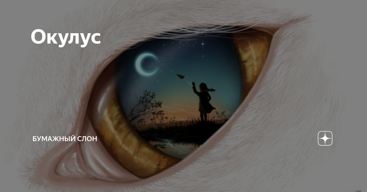 дзен бумажный слон