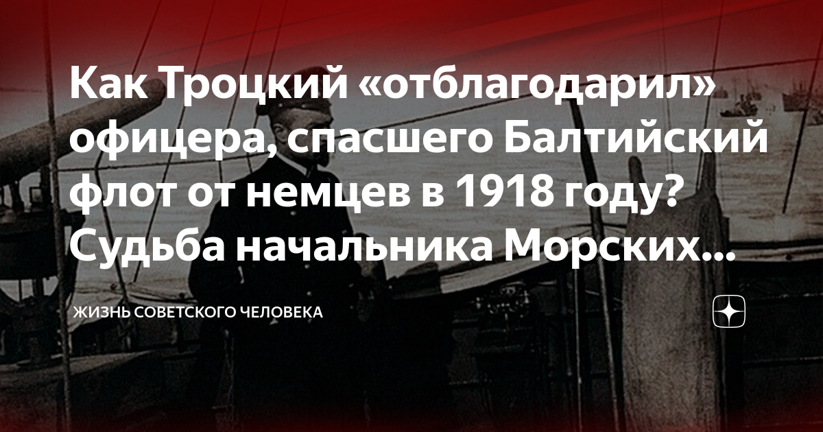 судьба быть руководителем. судьба быть руководителем. вильгельм буш иисус наша судьба отзывы. судьба быть руководителем. уильям оучи теория z.