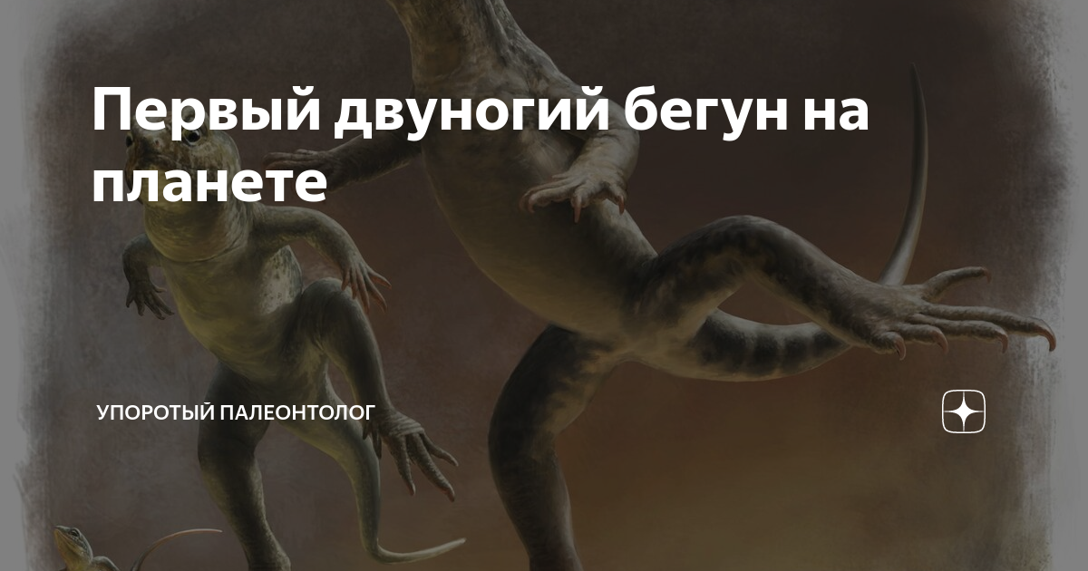 Человек это двуногое без перьев. Двуногие существа без тела. человек это двуногое животное без перьев смысл высказывания.