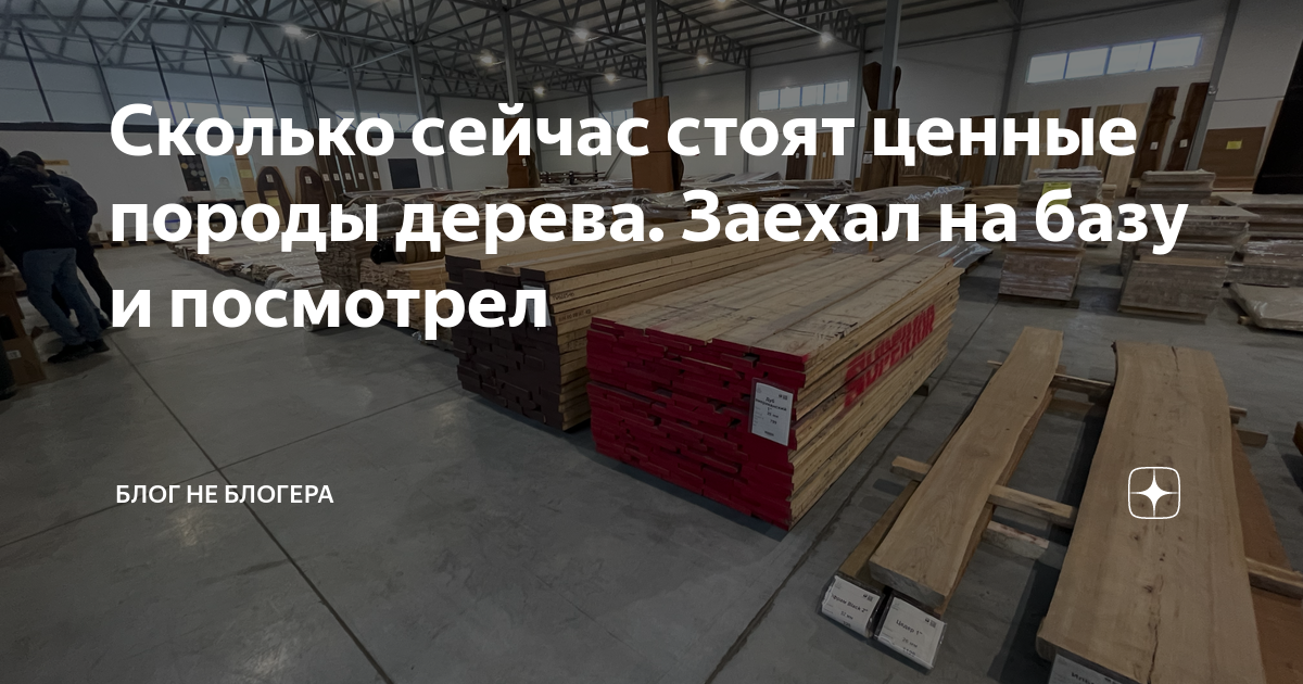 Сколько сейчас стоят ценные породы дерева. Заехал на базу и посмотрел ...
