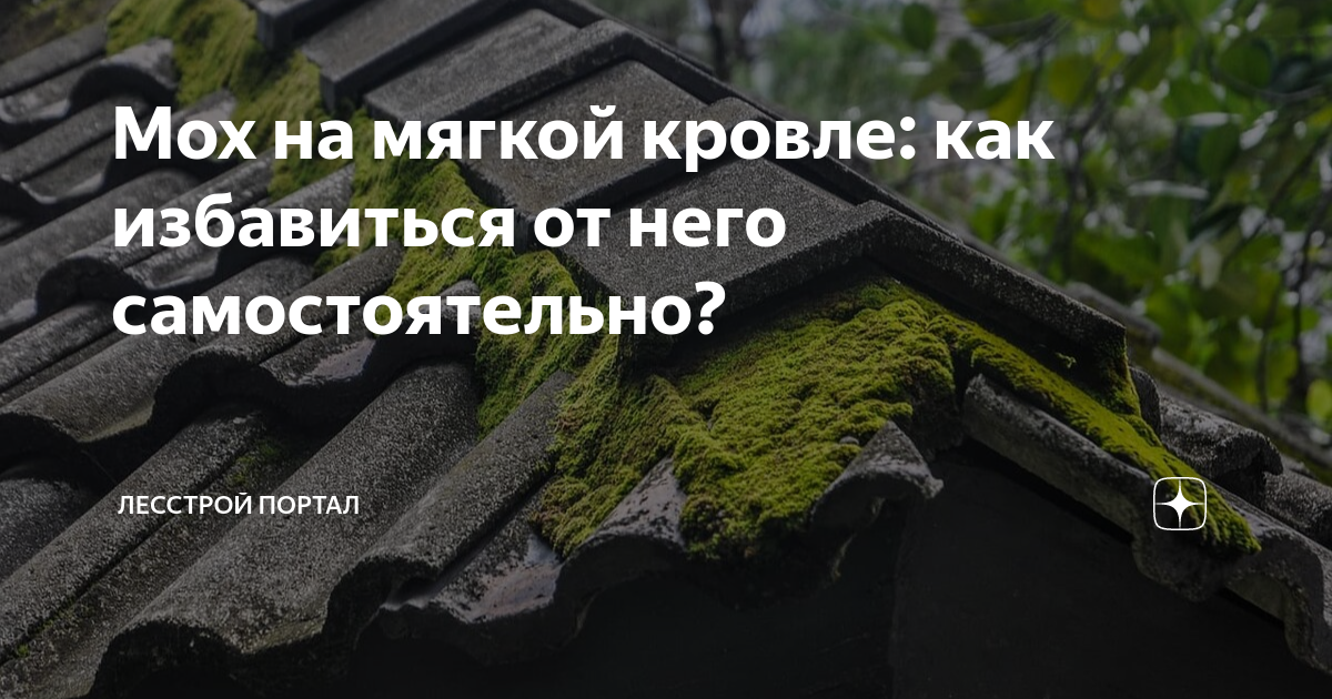 Мох на мягкой кровле: как избавиться от него самостоятельно? | Лесстрой ...
