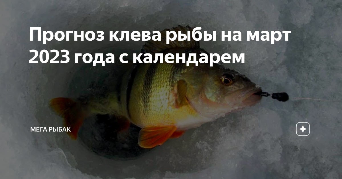Шарья клев