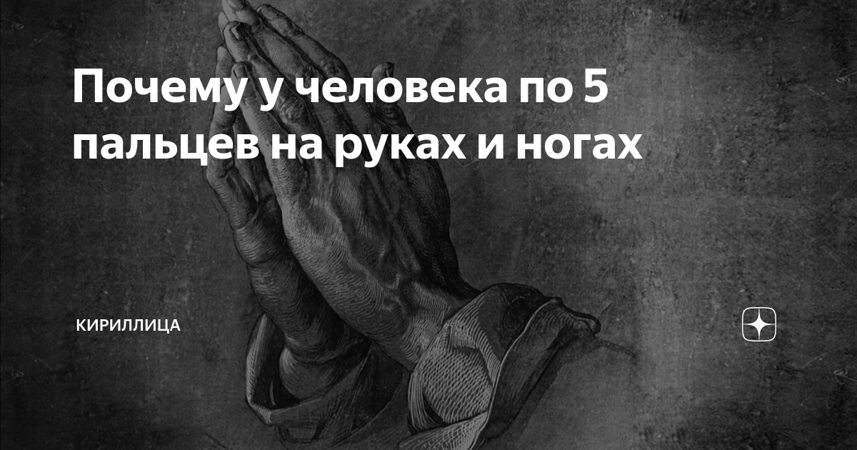 Почему у человека по 5 пальцев на руках и ногах | Кириллица | Дзен